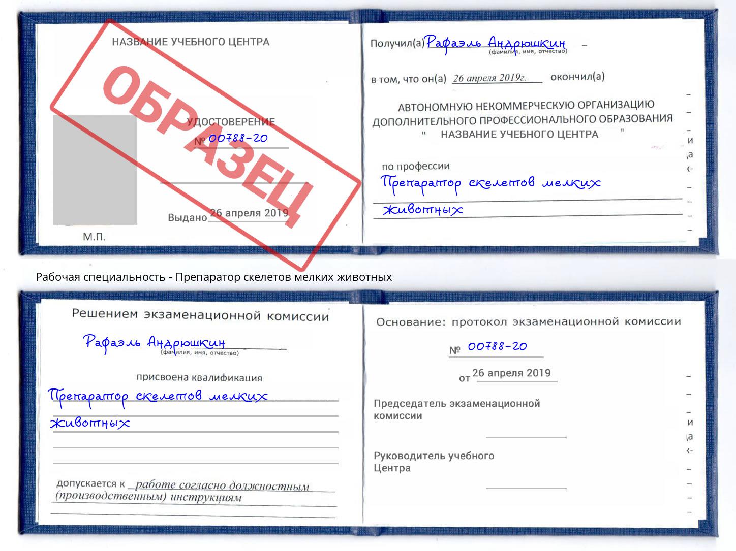 Препаратор скелетов мелких животных Томск