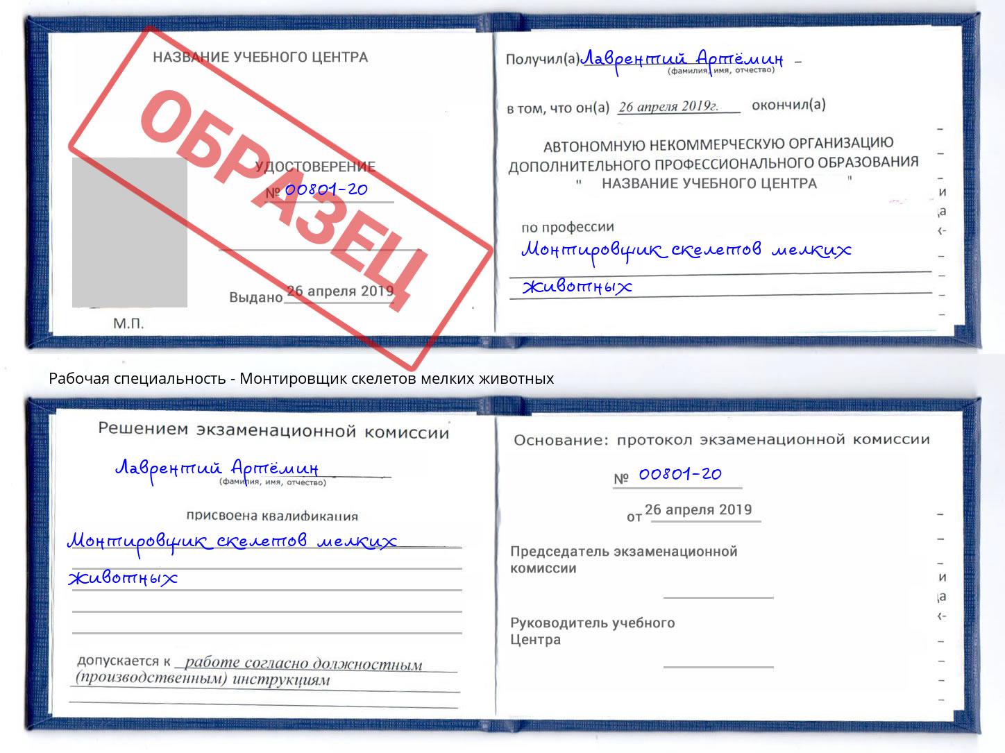 Монтировщик скелетов мелких животных Томск