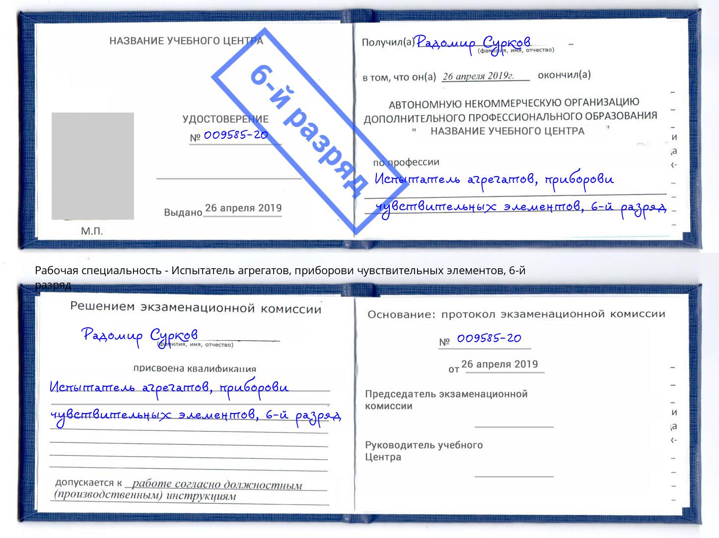 корочка 6-й разряд Испытатель агрегатов, приборови чувствительных элементов Томск