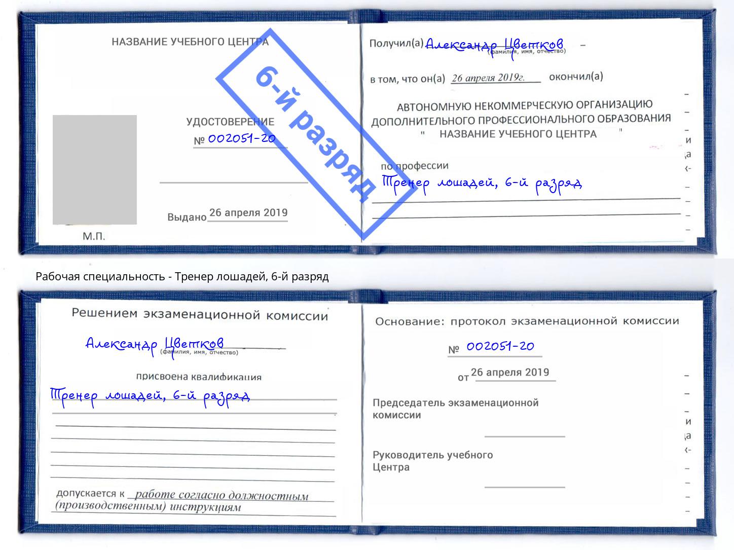 корочка 6-й разряд Тренер лошадей Томск