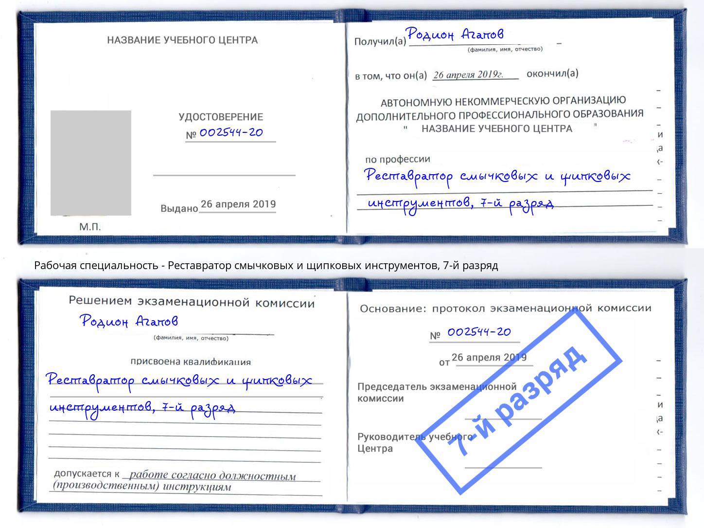 корочка 7-й разряд Реставратор смычковых и щипковых инструментов Томск